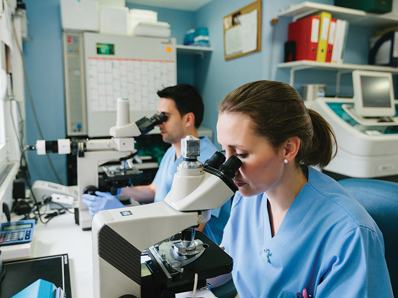 doctors looking into microscope