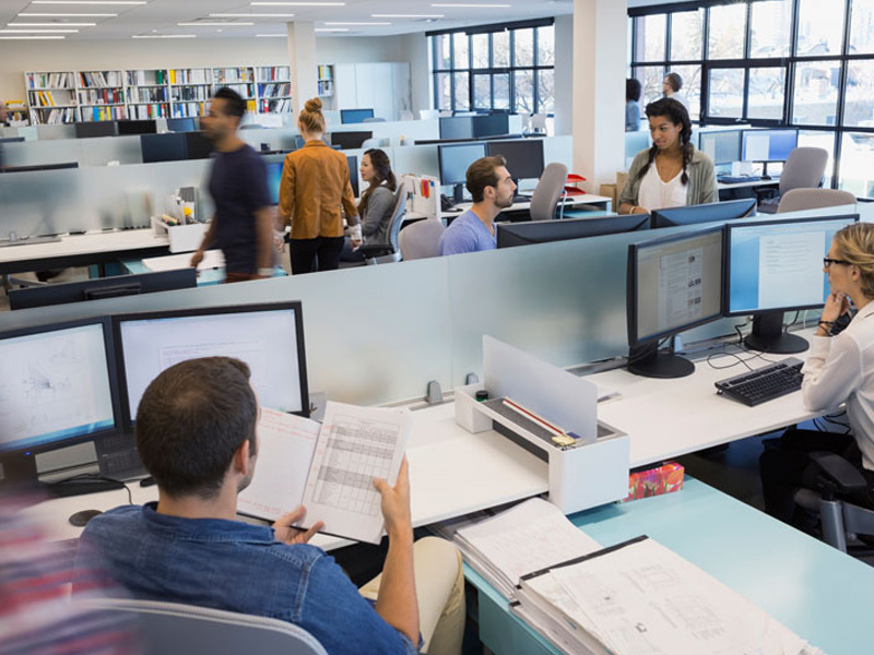 employees working in their workstations at office